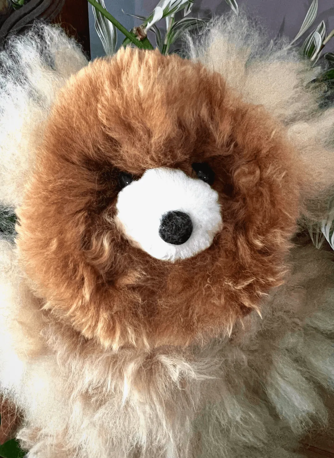 Alpaca Teddy Bear - 30cm