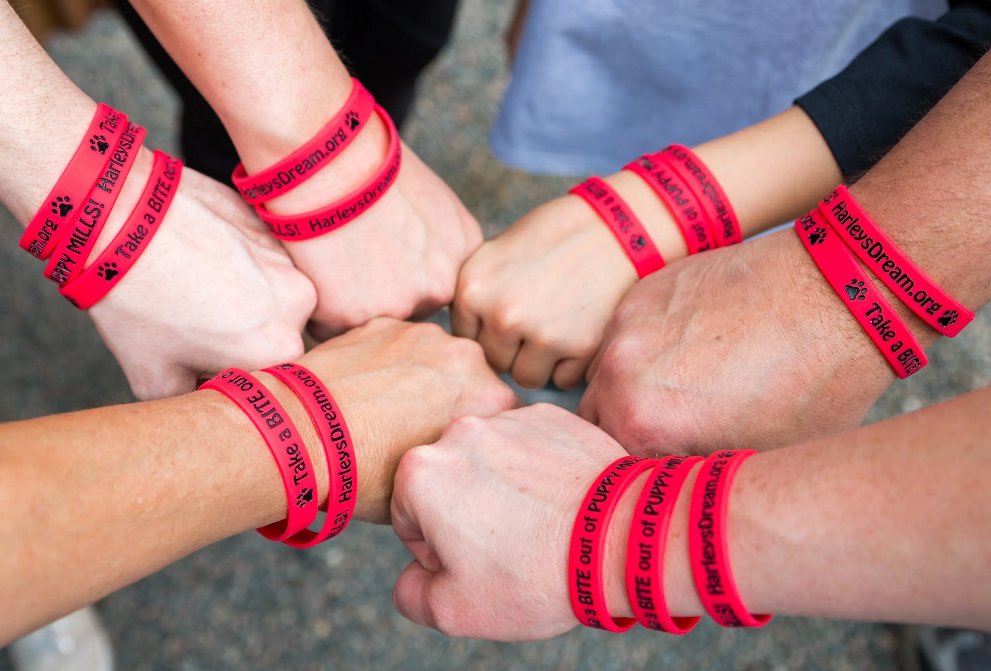 Bracelets (25 pack) - Take a Bite out of Puppy Mills!