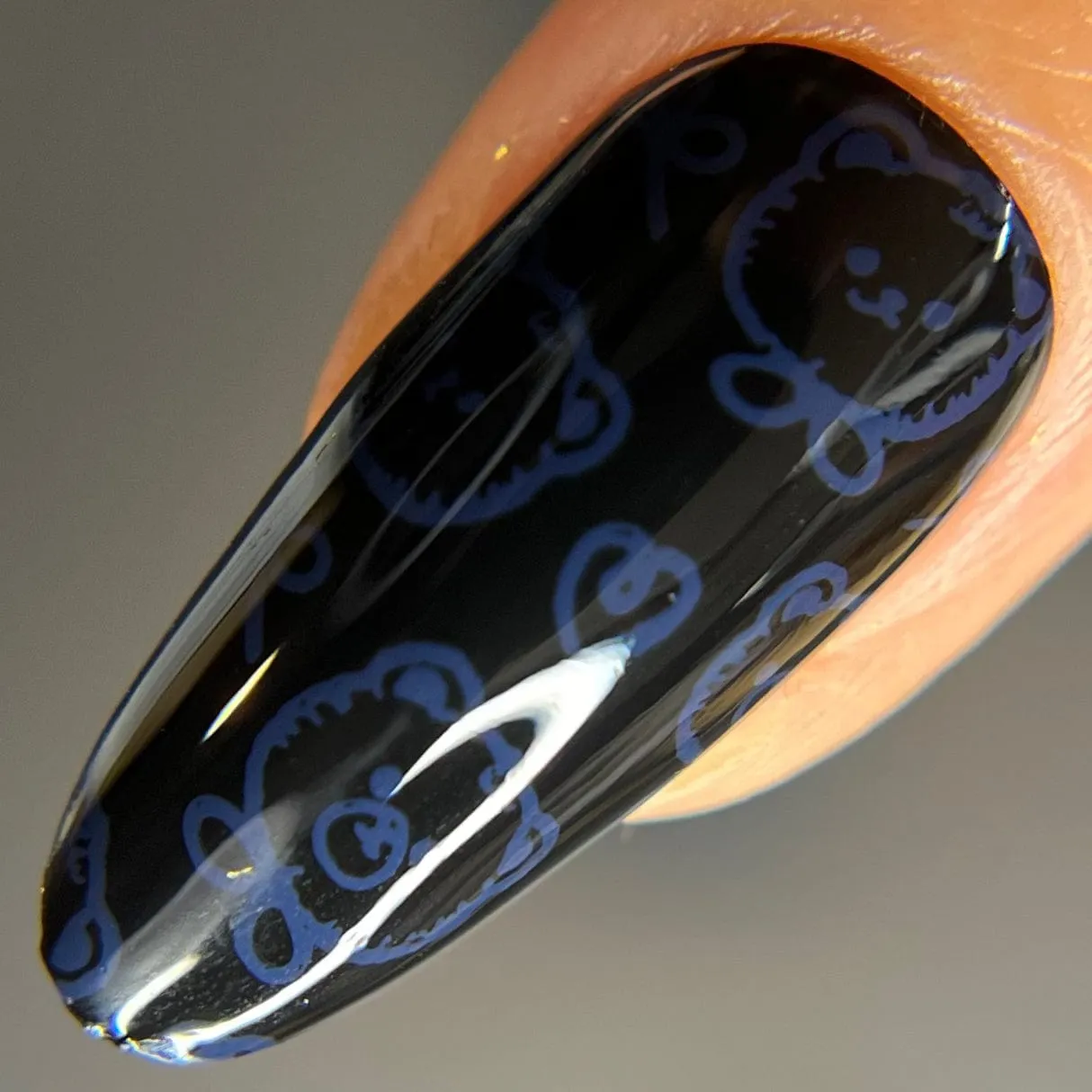 Canterbury (B524) - Cream Navy Blue Stamping Polish