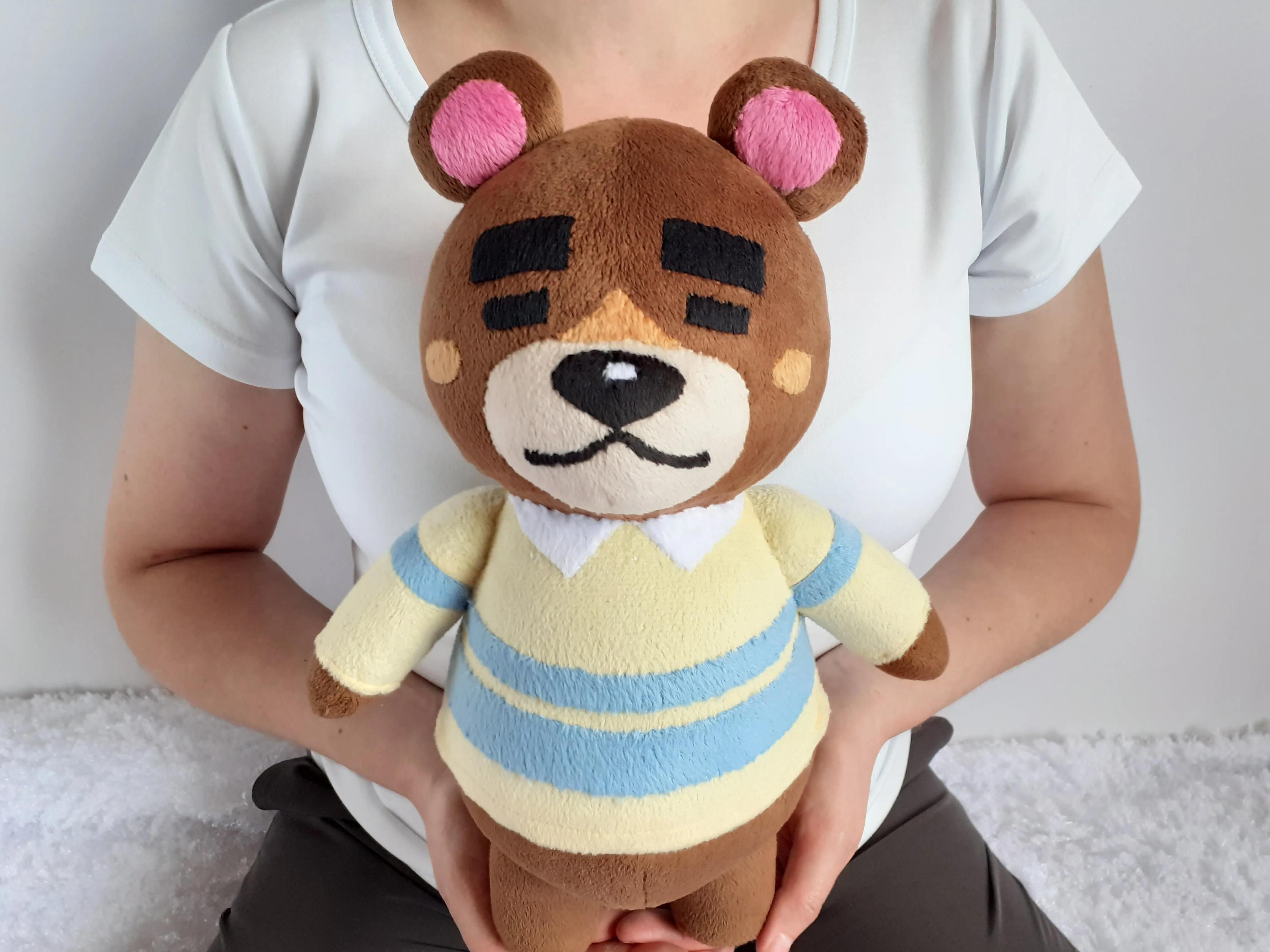 Custom Teddy the bear plush