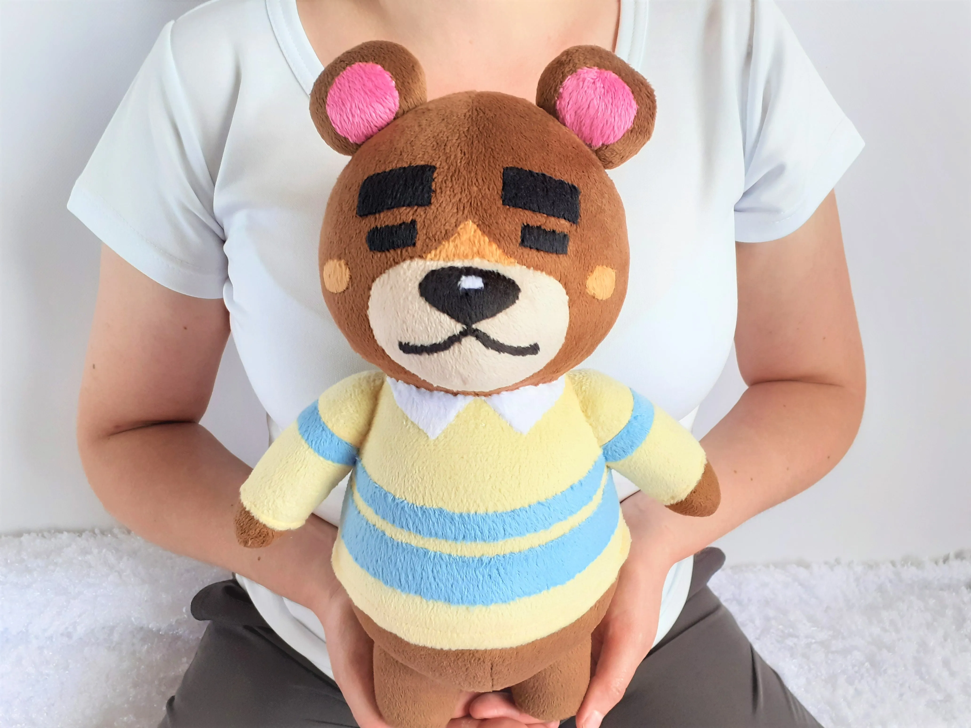 Custom Teddy the bear plush