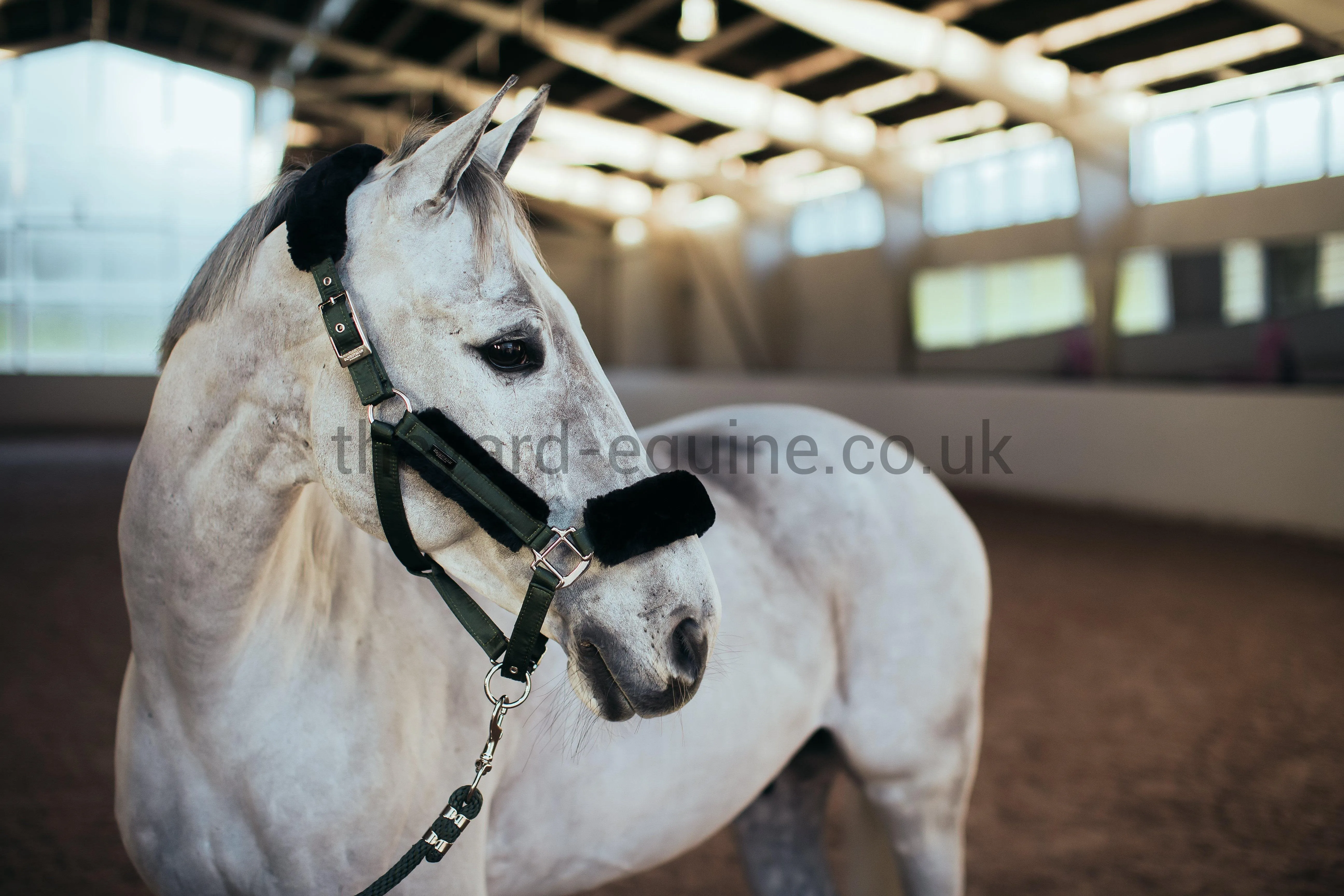 Equestrian Stockholm Fluffy Headcollar and Leadrope Set - Deep Olivine