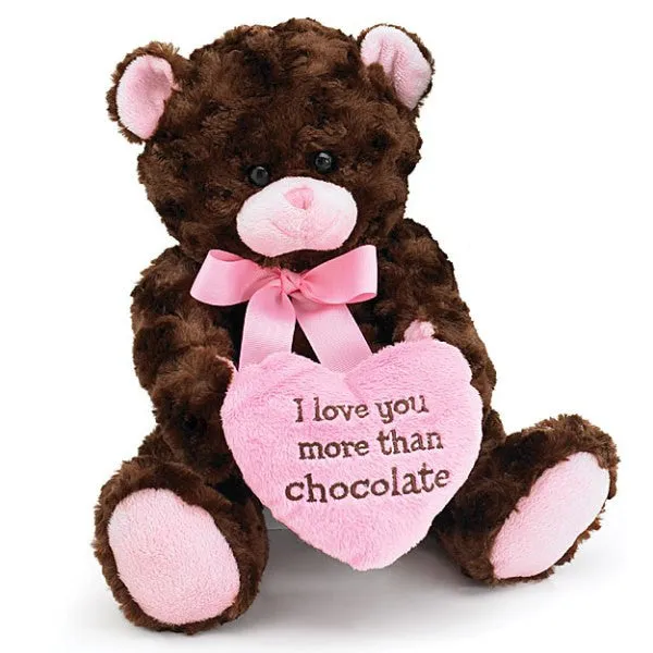I Love You More Than Chocolate Valentine's Teddy Bear