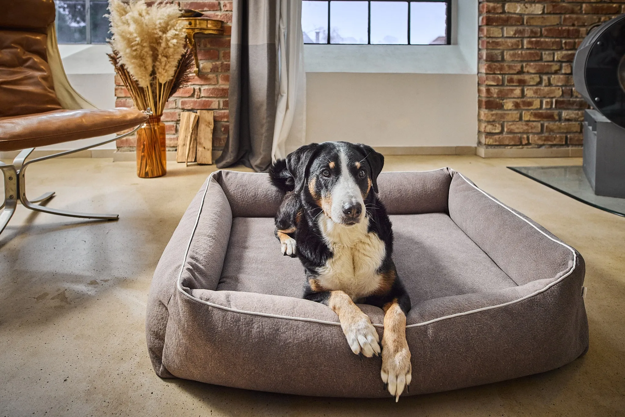 Laboni Orthopaedic Dog Bed Teddy