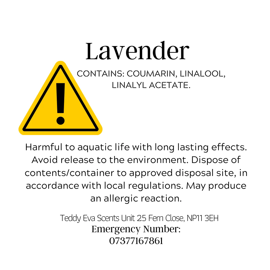 Lavender Teddy Clamshell
