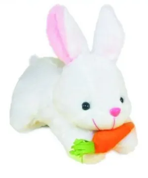 Rabbit With Carrot Soft Toy