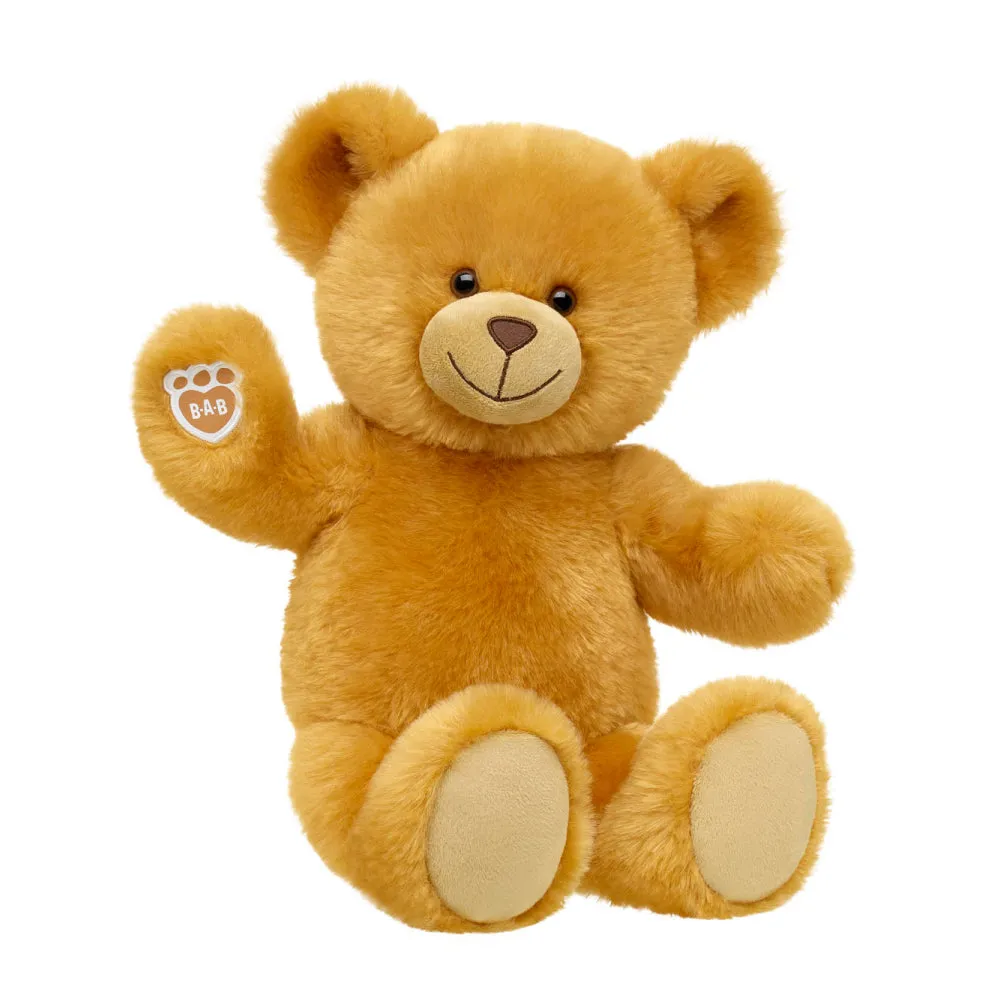 Read Teddy 2022