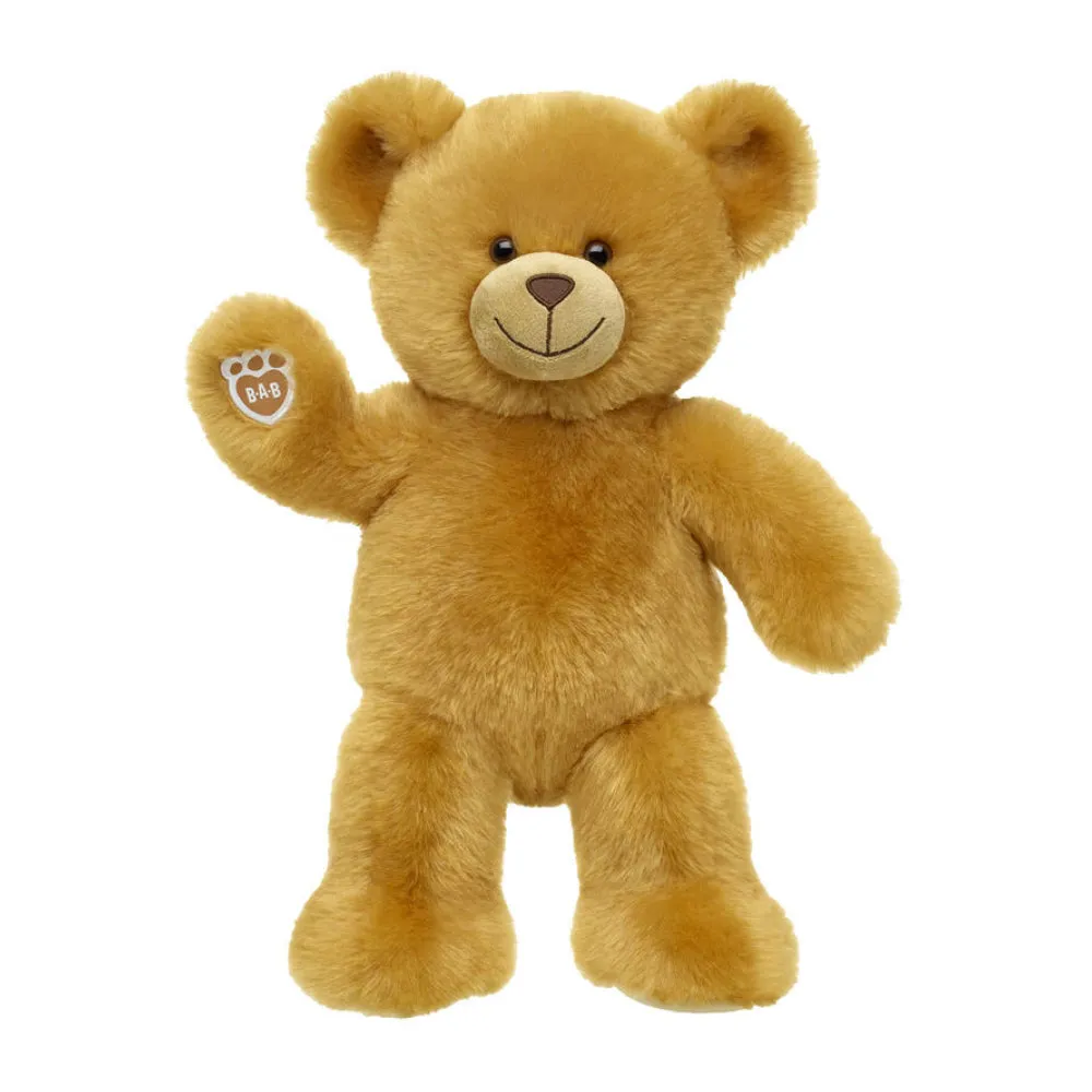 Read Teddy 2022
