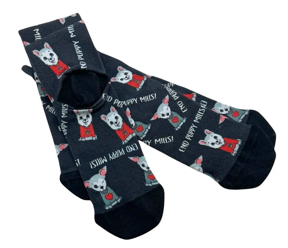 Socks - Love Like Harley & Teddy Too