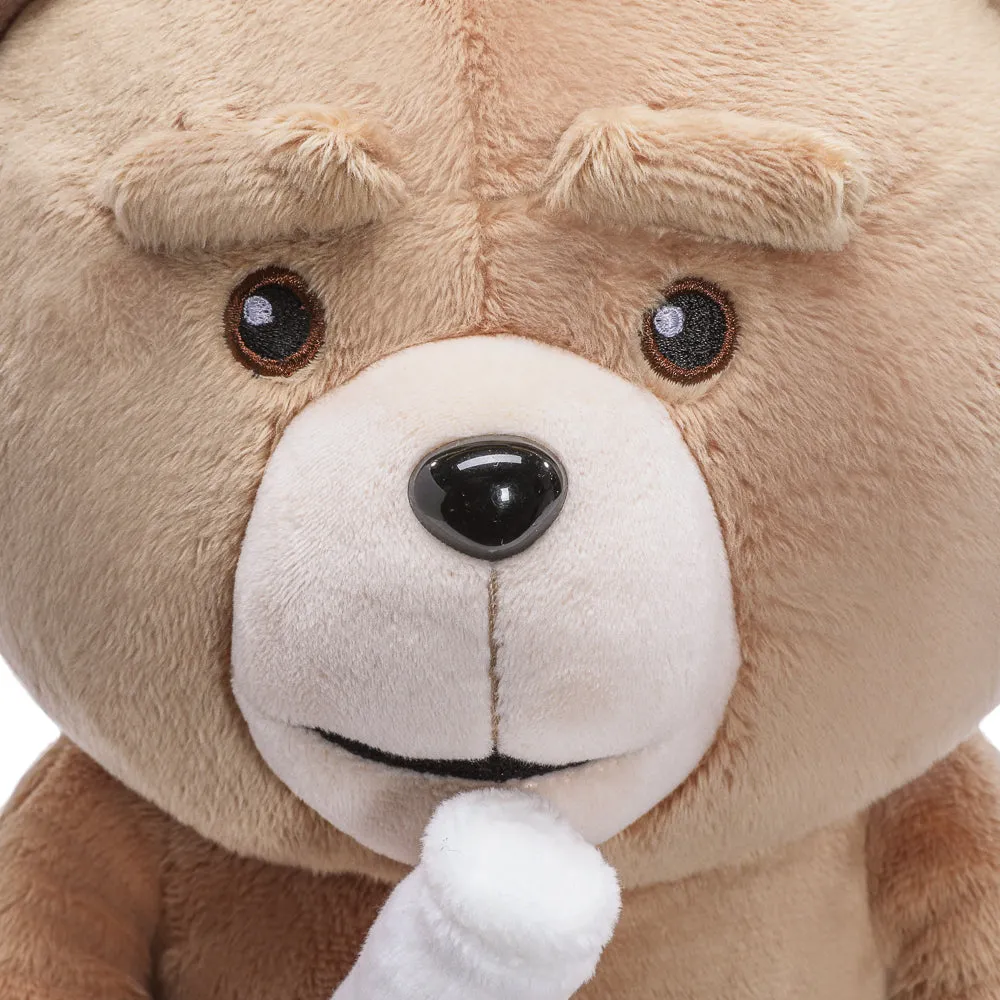 Ted (TV Show) 13” Plush with Sound by Kidrobot