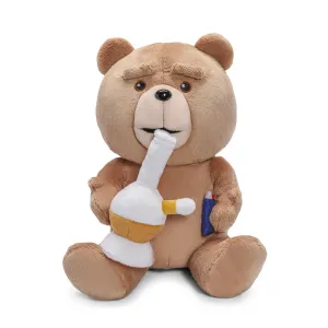 Ted (TV Show) 13” Plush with Sound by Kidrobot