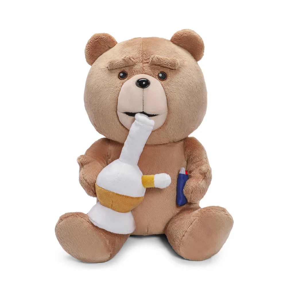 Ted (TV Show) 13” Plush with Sound by Kidrobot