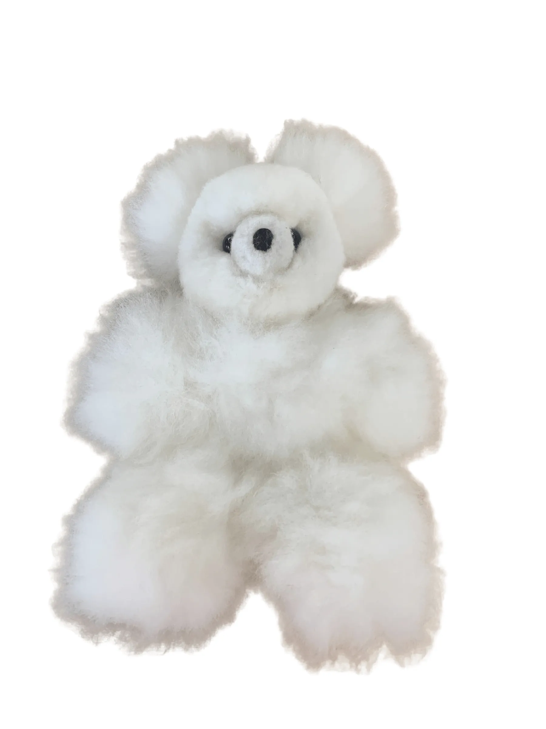 Teddy Bear (12 inch)