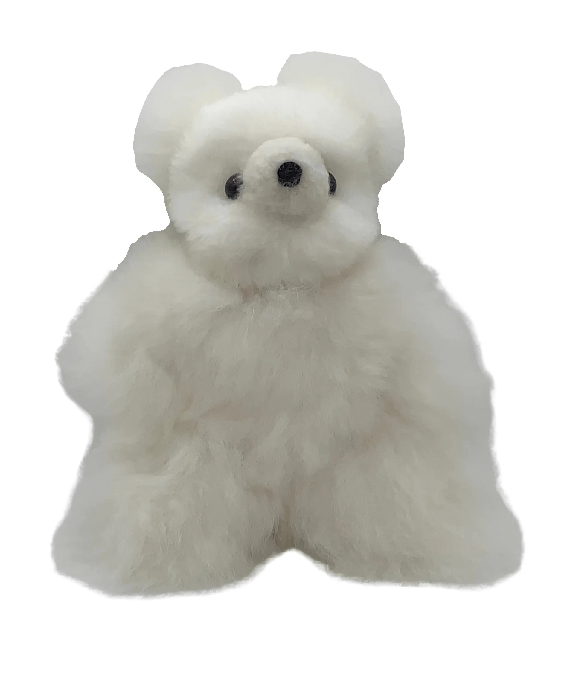 Teddy Bear (8 inch)