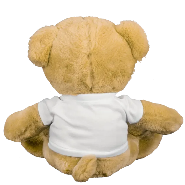 Teddy Bear with T-shirt