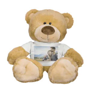 Teddy Bear with T-shirt
