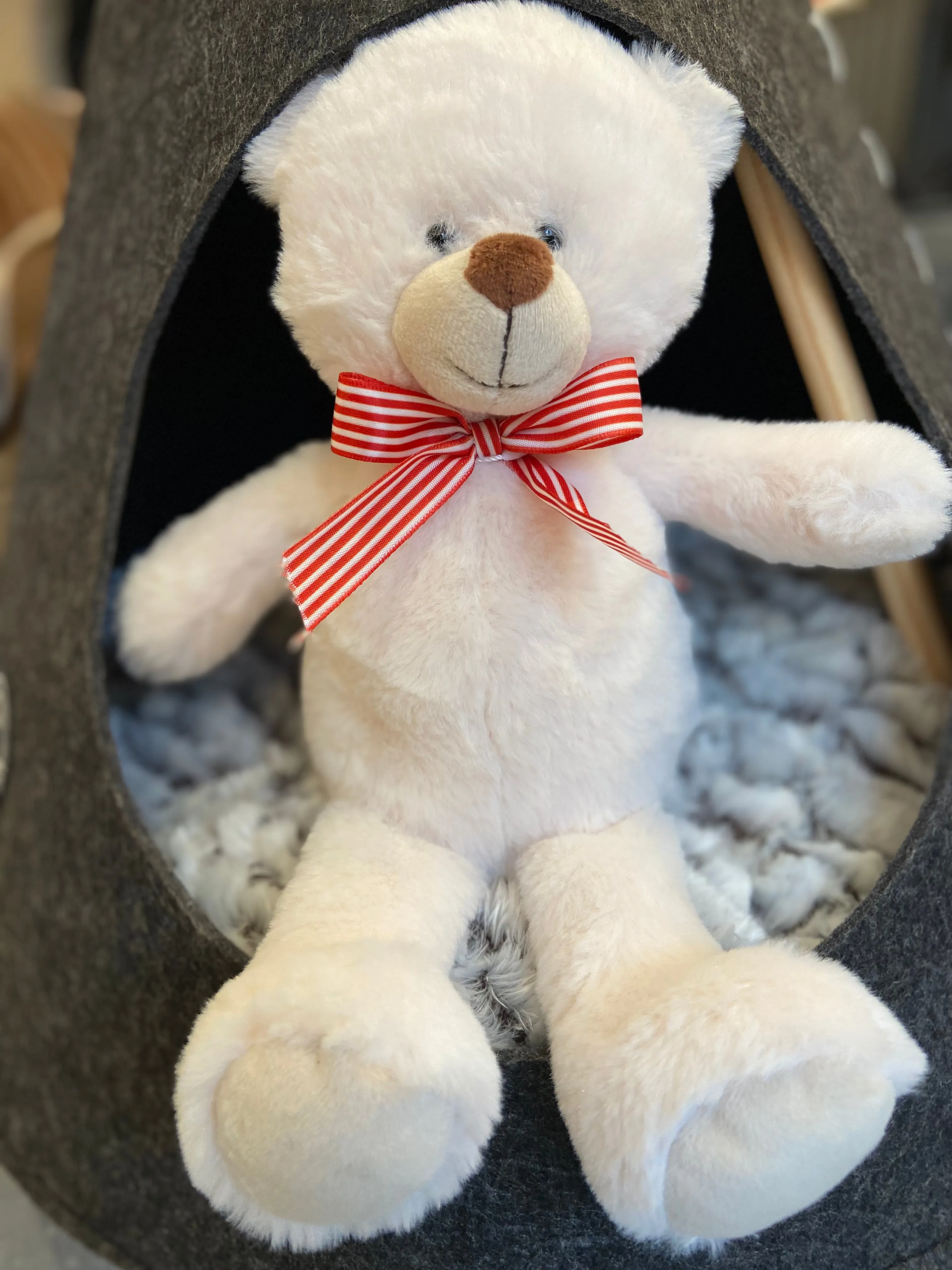 Teddy Bear