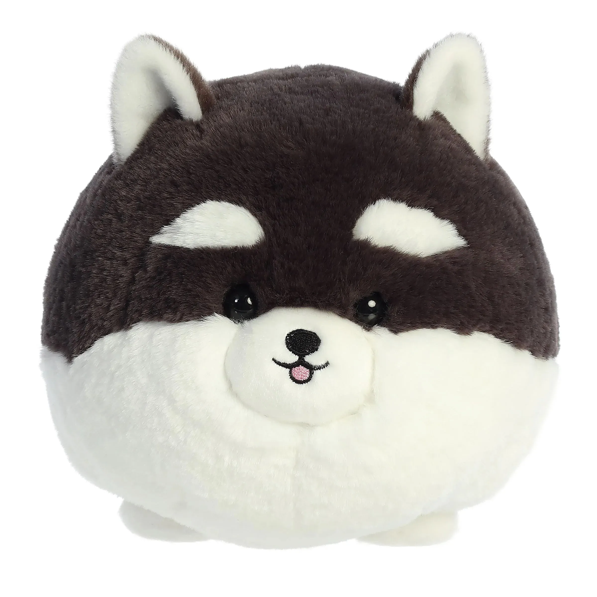 Teddy Pets