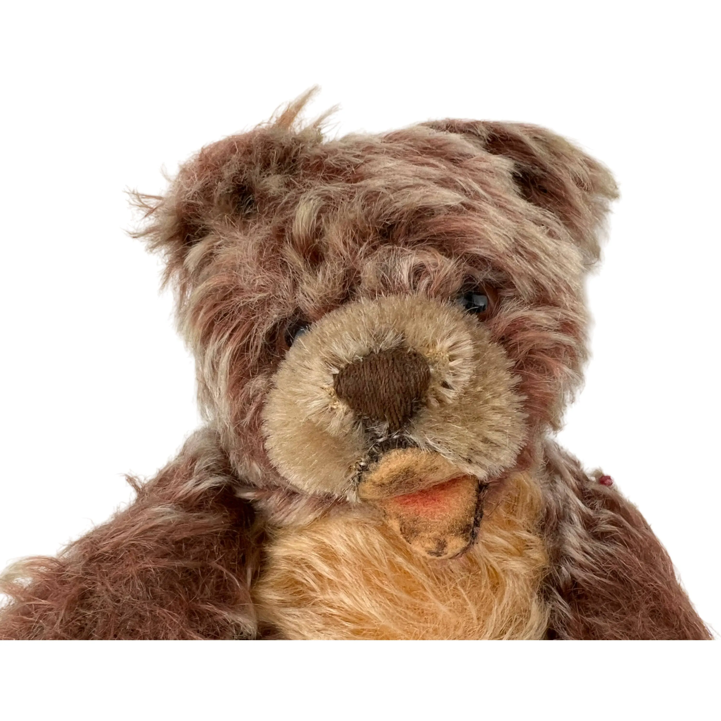 Vintage 1950s 60s Steiff Zotty Teddy Bear Stuffed Toy 8