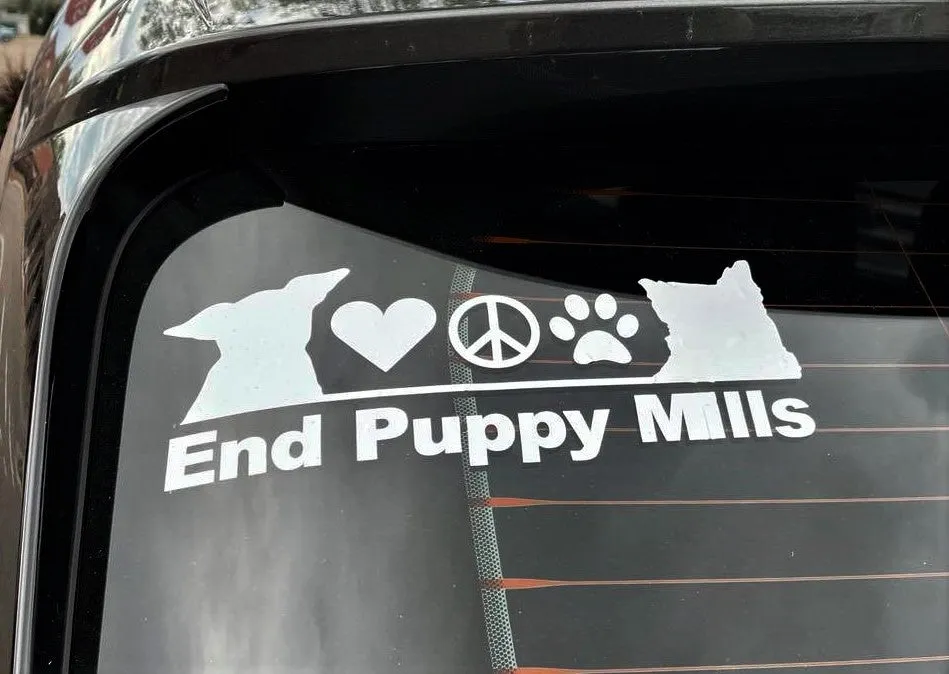 Window Decal - End Puppy Mills (Harley & Teddy)